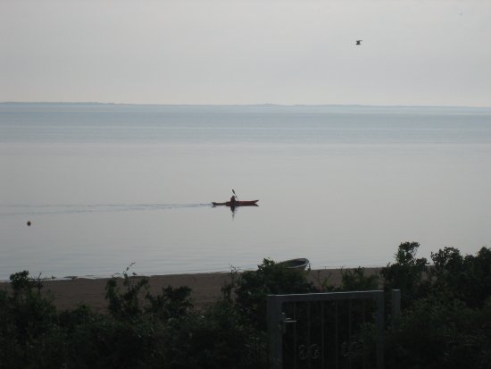 019-IMG_3151.JPG.medium.jpeg